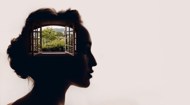 a silhouette of a woman with a window in her head.